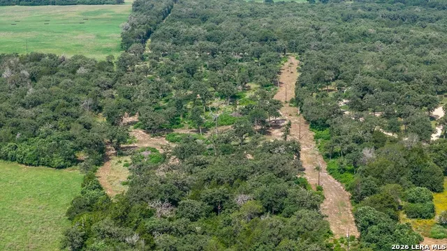 1324 Private Road 4055 Lexington, TX 78947