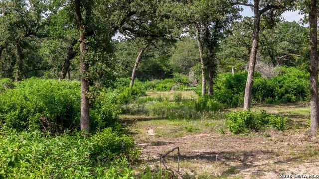 1324 Private Road 4055 Lexington, TX 78947