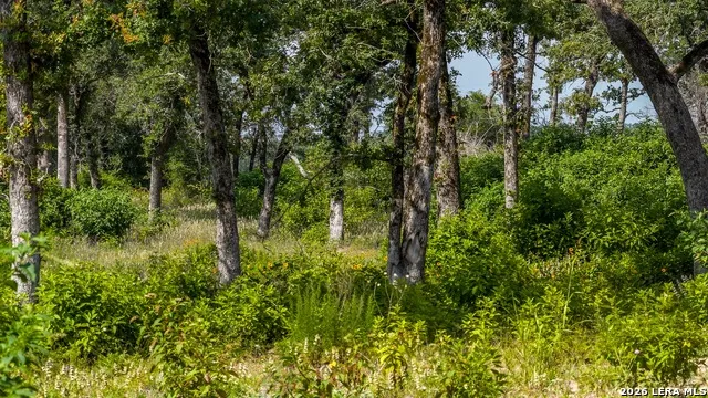 1324 Private Road 4055 Lexington, TX 78947