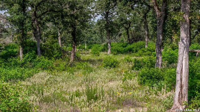 1324 Private Road 4055 Lexington, TX 78947