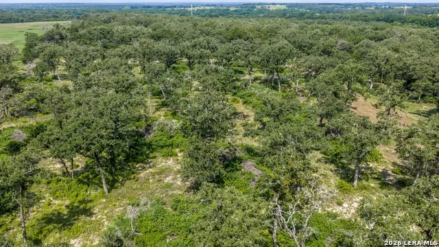 1324 Private Road 4055 Lexington, TX 78947