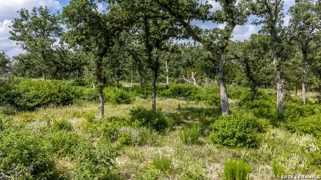 1324 Private Road 4055 Lexington, TX 78947