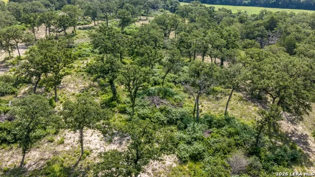 1324 Private Road 4055 Lexington, TX 78947