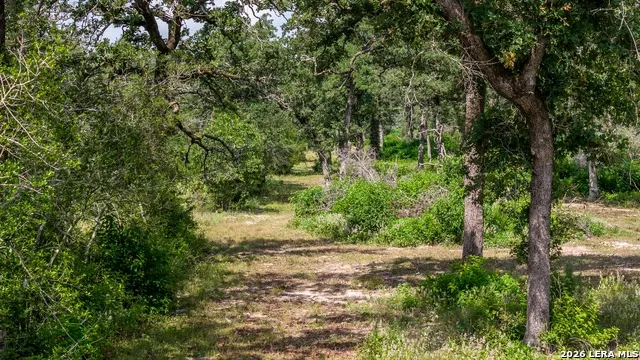 1324 Private Road 4055 Lexington, TX 78947