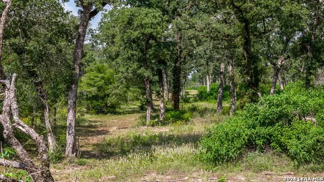 1324 Private Road 4055 Lexington, TX 78947