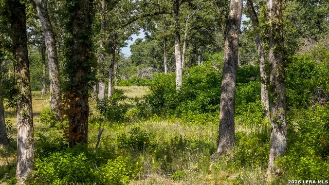 1324 Private Road 4055 Lexington, TX 78947