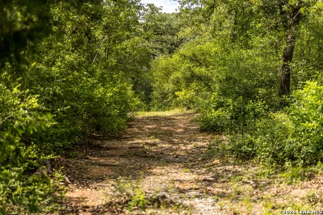 1324 Private Road 4055 Lexington, TX 78947