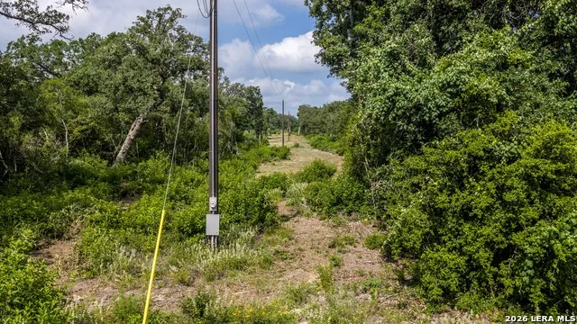 1324 Private Road 4055 Lexington, TX 78947