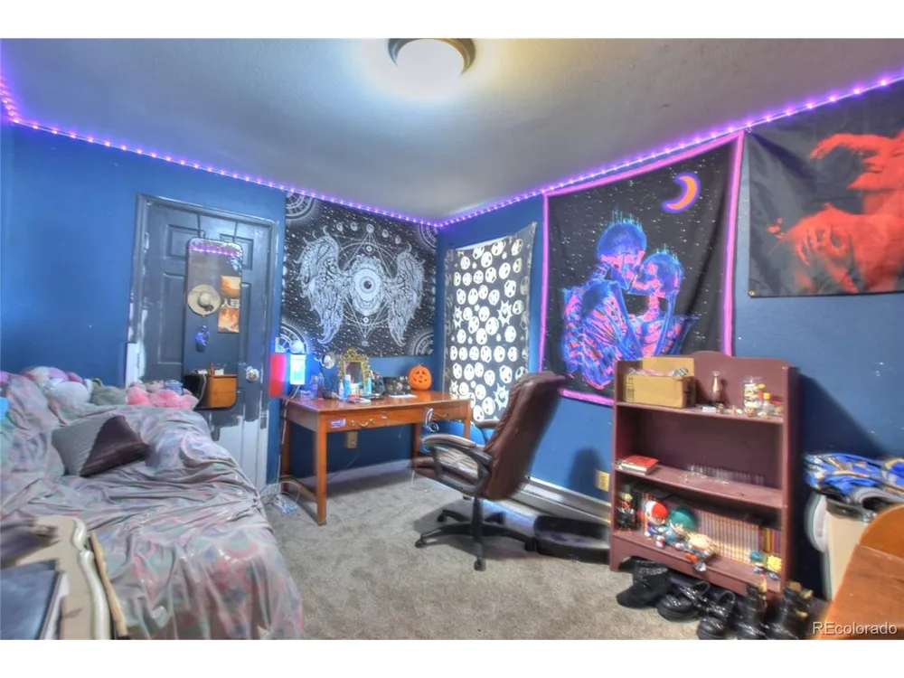 3960 County Road 5 Fairplay, CO 80440