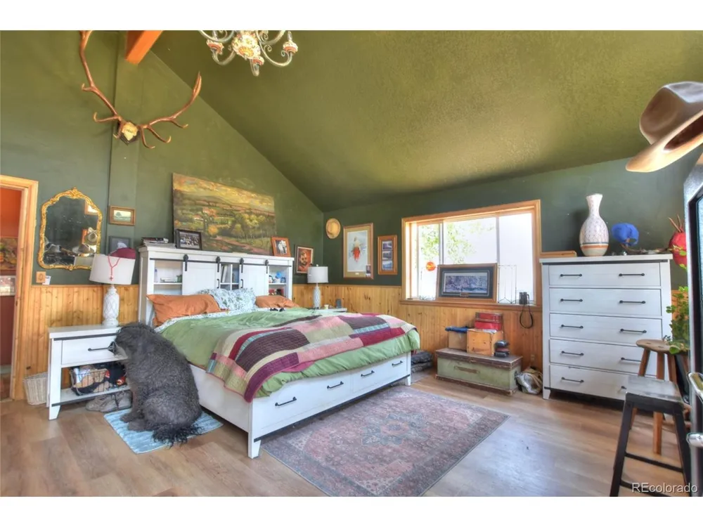 3960 County Road 5 Fairplay, CO 80440