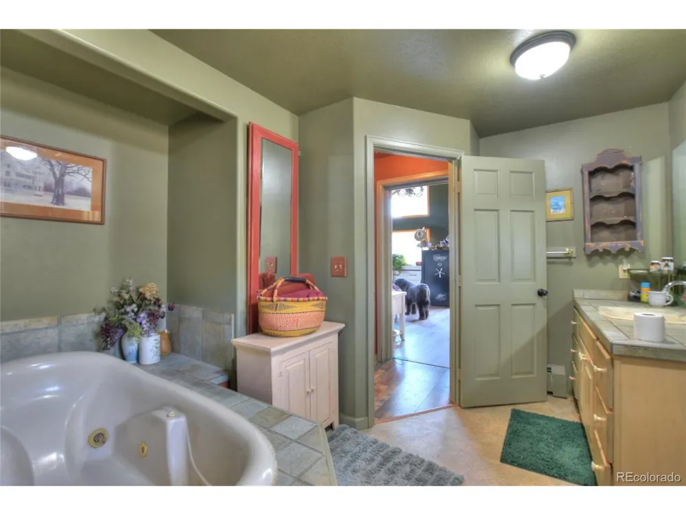 3960 County Road 5 Fairplay, CO 80440