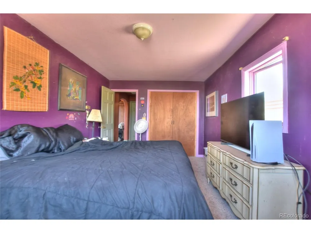3960 County Road 5 Fairplay, CO 80440