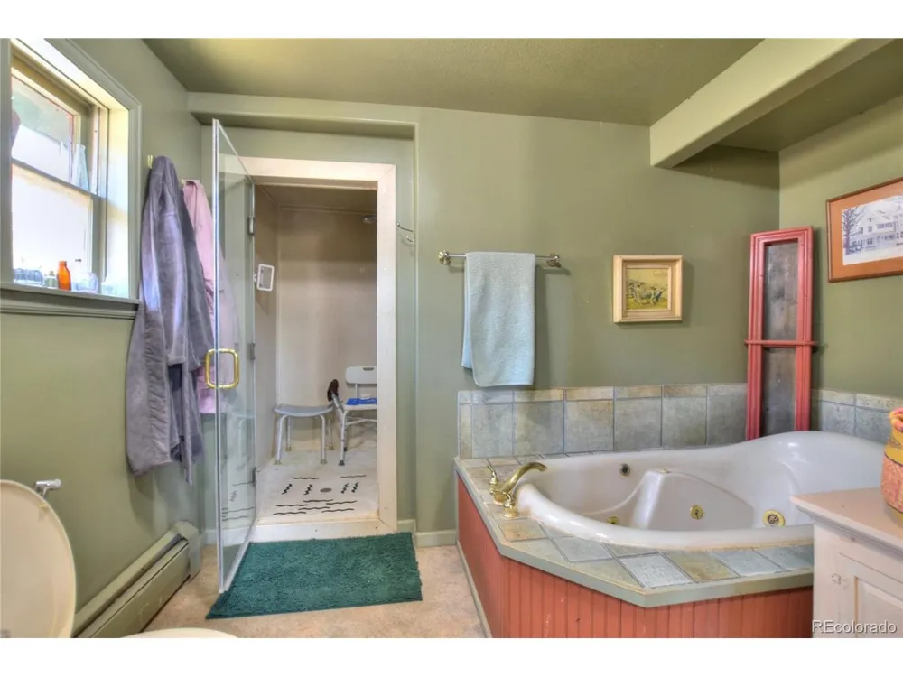 3960 County Road 5 Fairplay, CO 80440