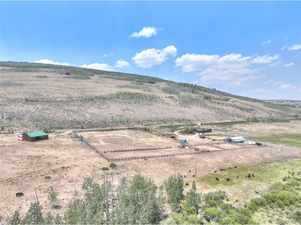 3960 County Road 5 Fairplay, CO 80440