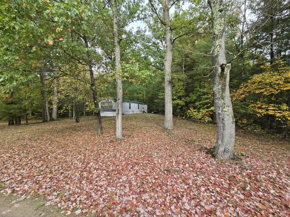 8776 Blair Drive Merrill Township, MI 49309