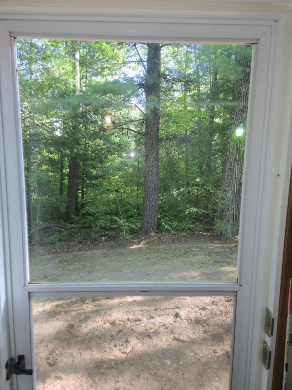 8776 Blair Drive Merrill Township, MI 49309