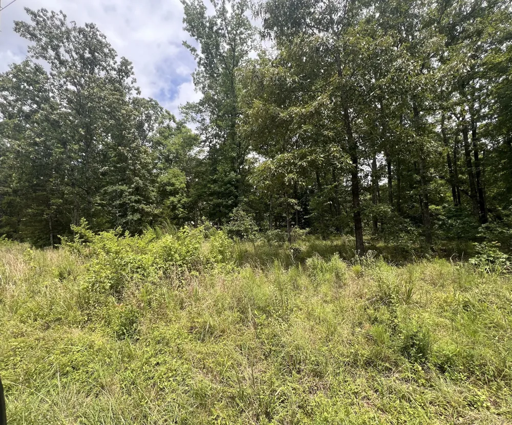 3 LakeView Drive Linden, TN 37096