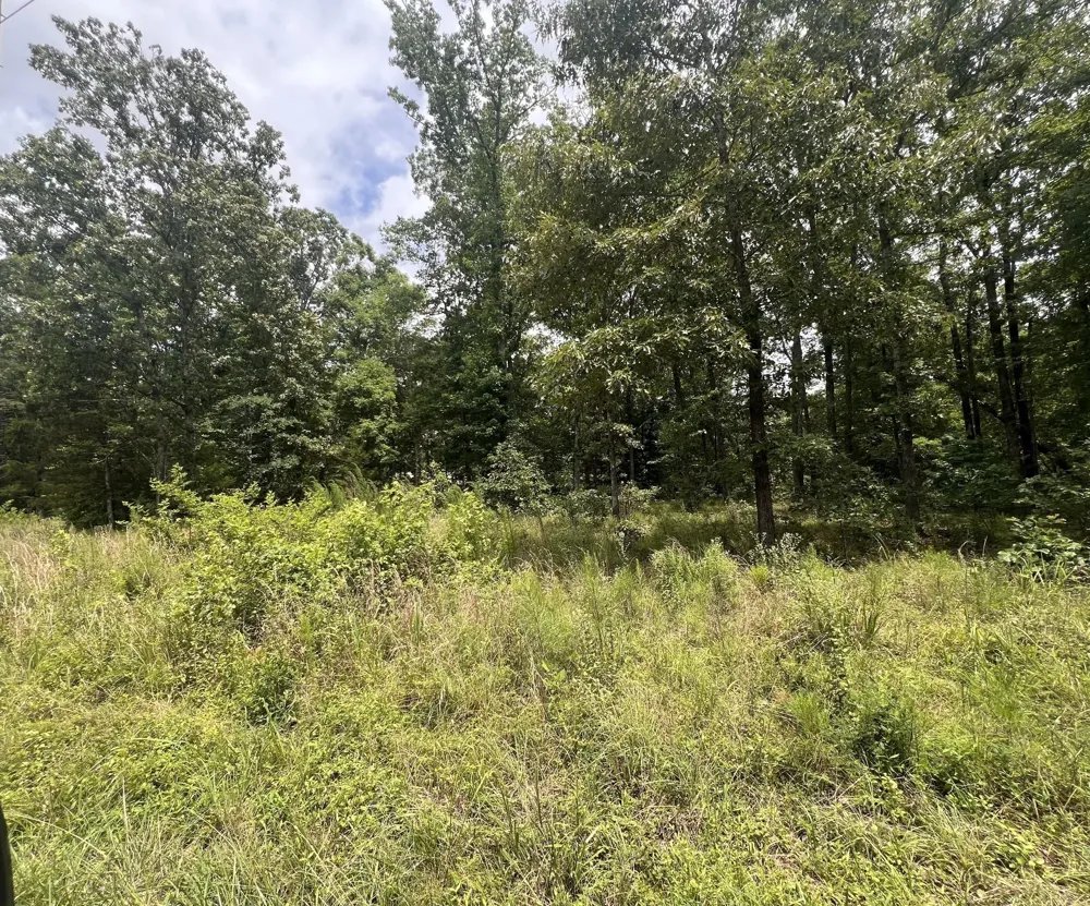 9 LakeView Drive Linden, TN 37096