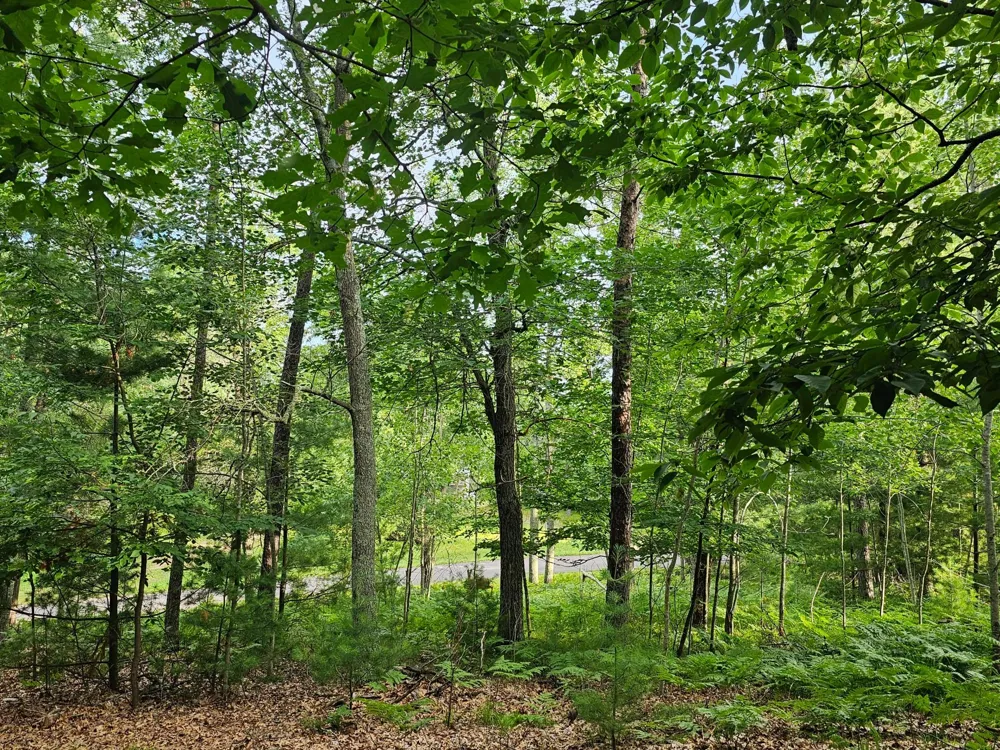 29110 Treasure Island Trail Way Danbury, WI 54830