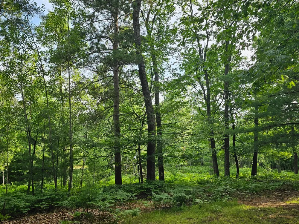29110 Treasure Island Trail Way Danbury, WI 54830