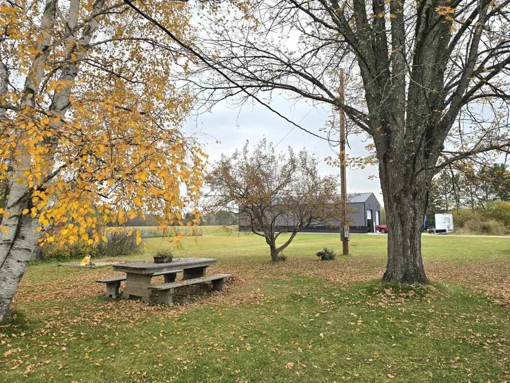 3414 County Road 32 S Loman, MN 56654
