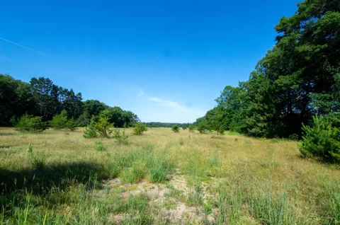 TBD County Road 19