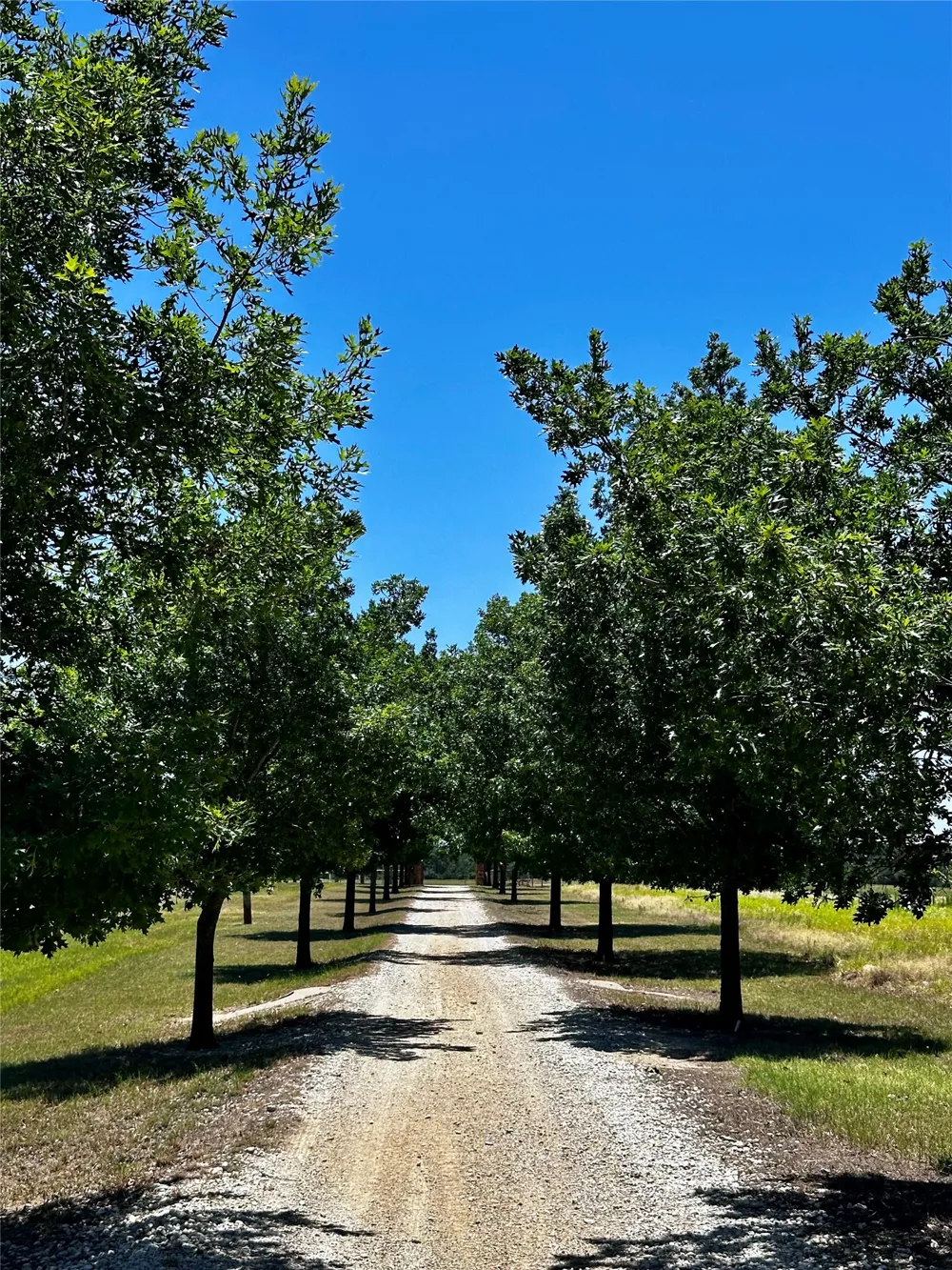 7846 County Road 452 Cross Plains, TX 76443