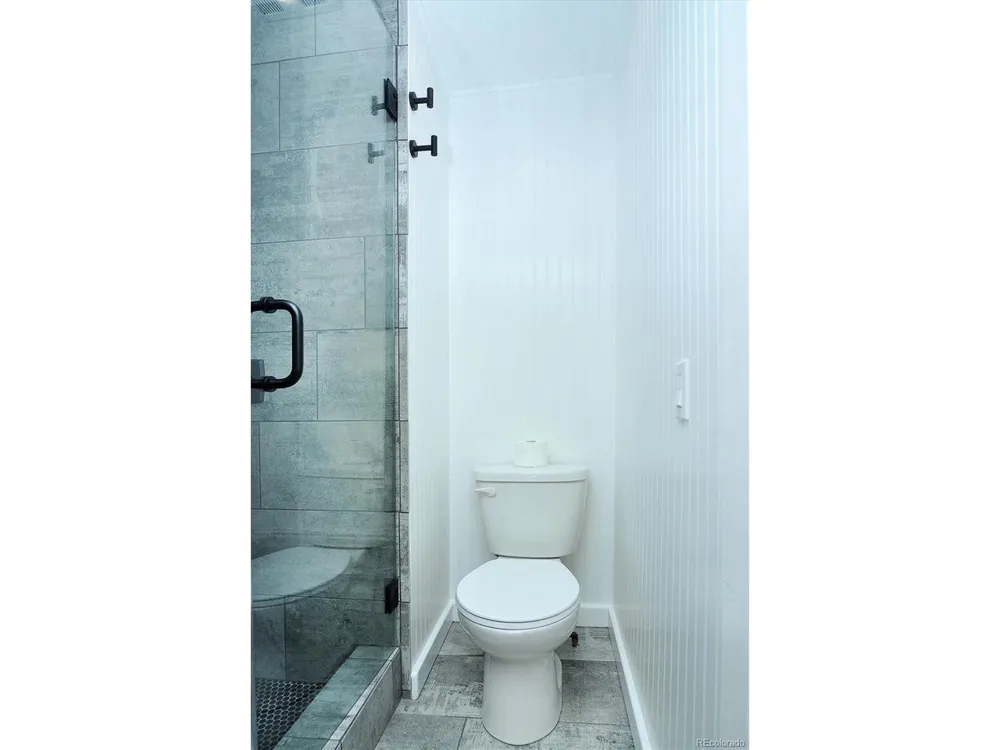 129 Lang Street Twin Lakes, CO 81251
