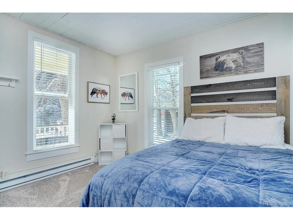 129 Lang Street Twin Lakes, CO 81251