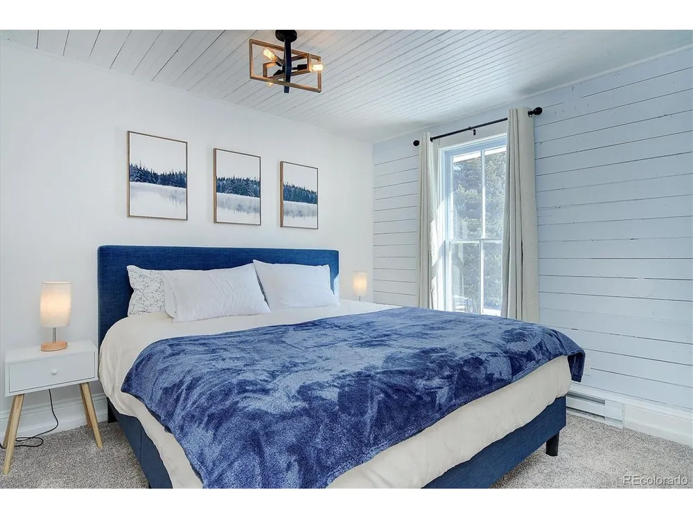 129 Lang Street Twin Lakes, CO 81251