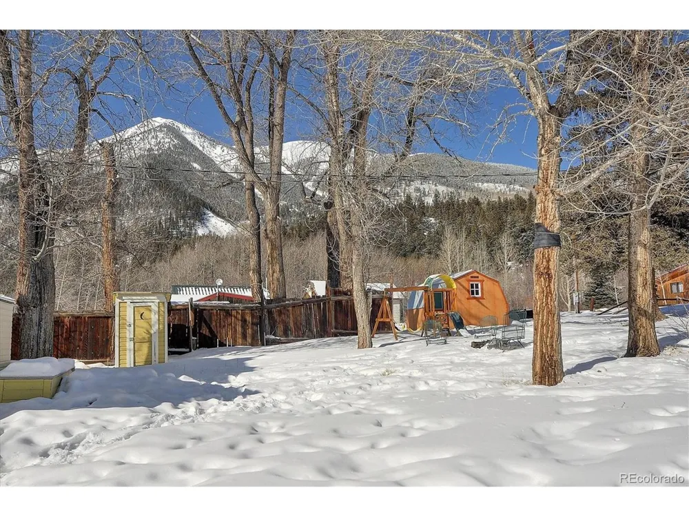 129 Lang Street Twin Lakes, CO 81251