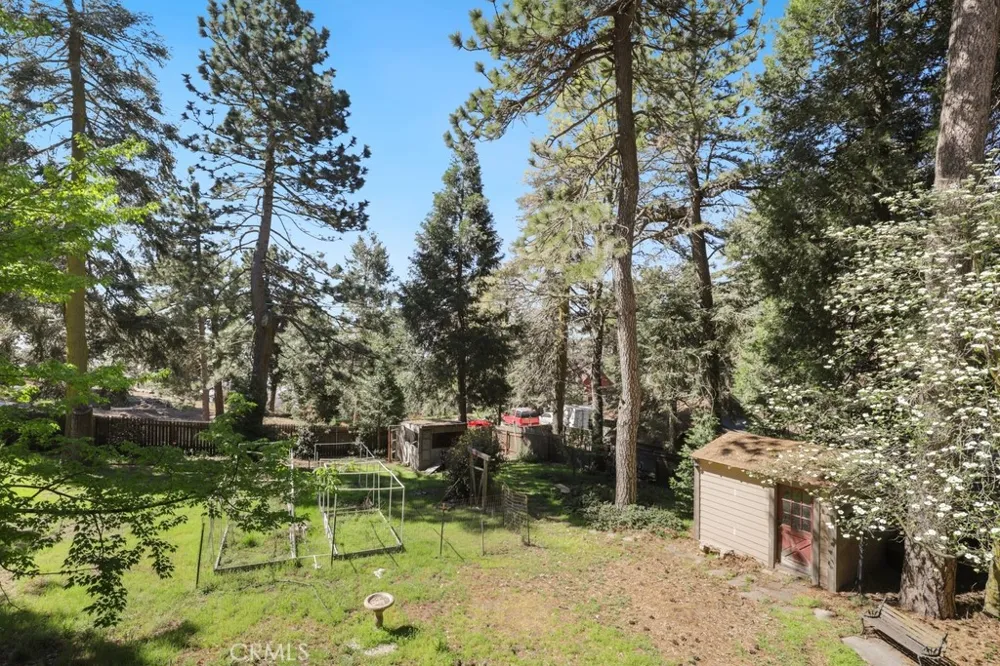 21645 Jobs Peak Road Cedarpines Park, CA 92322