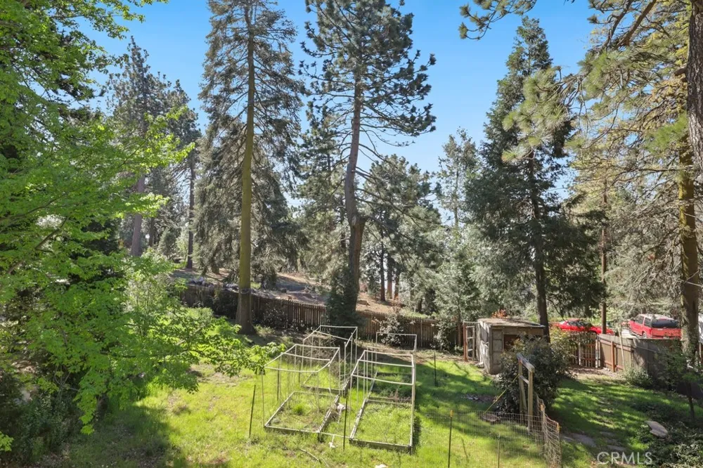 21645 Jobs Peak Road Cedarpines Park, CA 92322