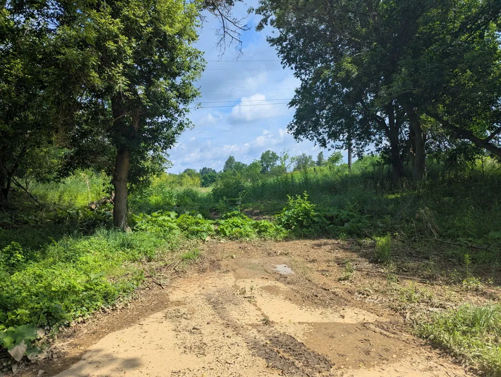 1 Vicary Road Cement City, MI 49233