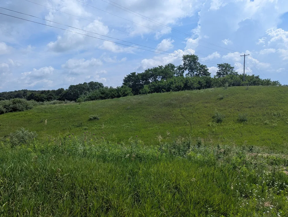 1 Vicary Road Cement City, MI 49233