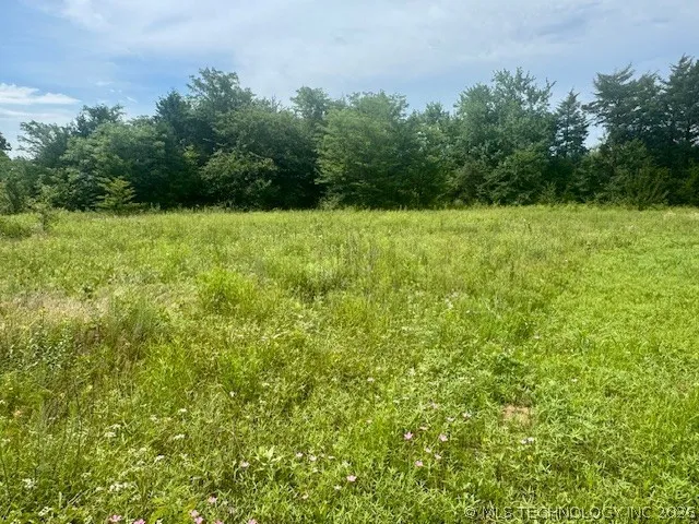 37 Red Bird Lane Colbert, OK 74733