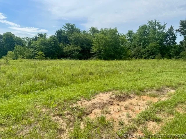 37 Red Bird Lane Colbert, OK 74733