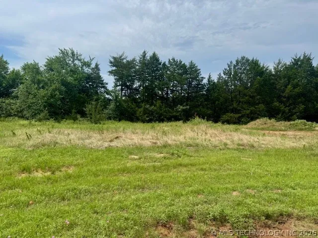 37 Red Bird Lane Colbert, OK 74733