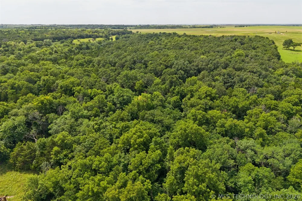 E 4100 ROAD Pawnee, OK 74058