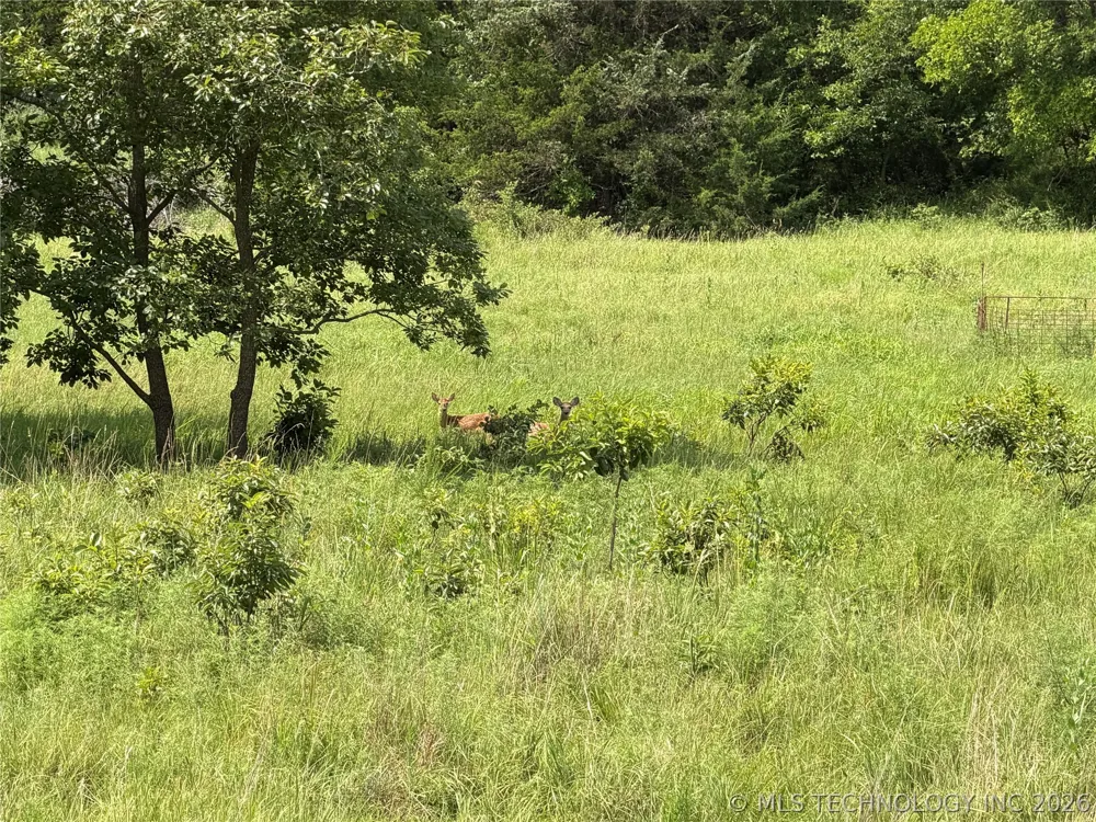 E 4100 ROAD Pawnee, OK 74058