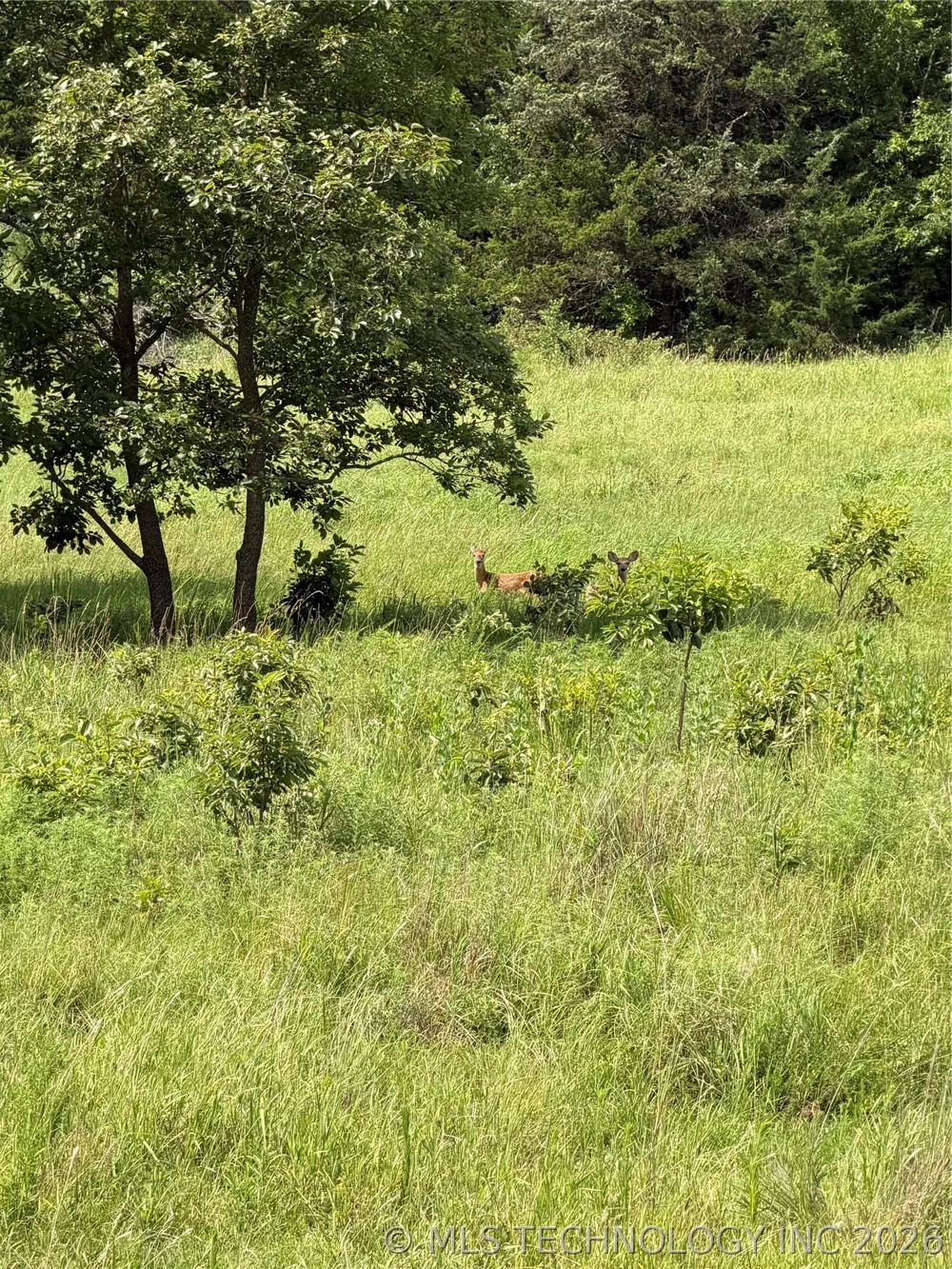 E 4100 ROAD Pawnee, OK 74058