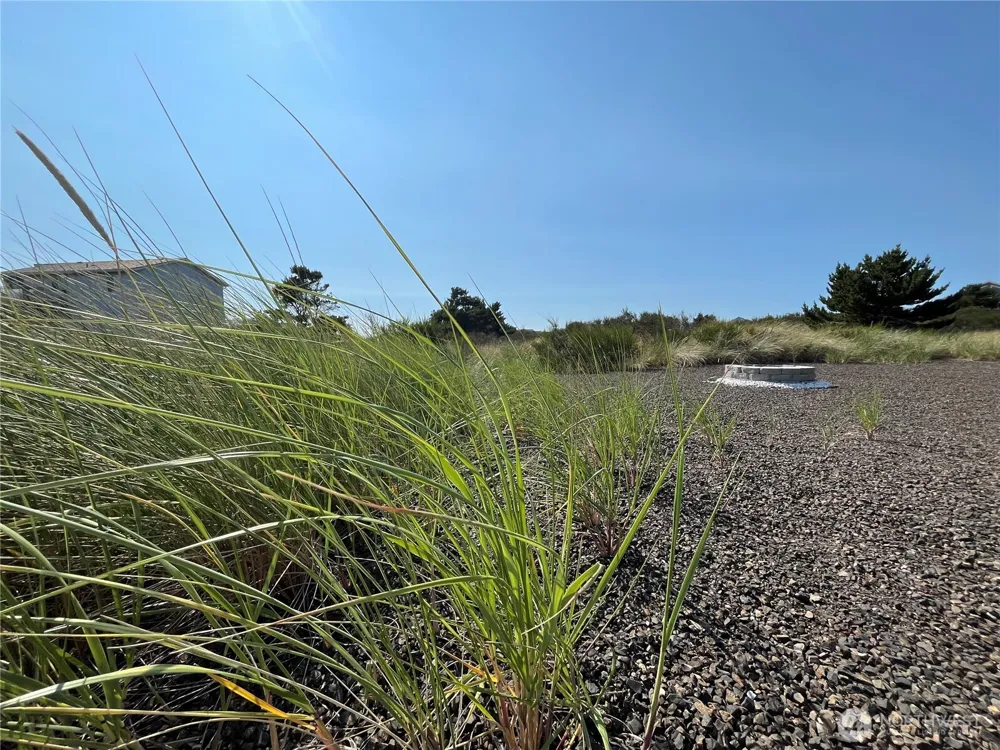 1439 Diamond Head Avenue SW Ocean Shores, WA 98569