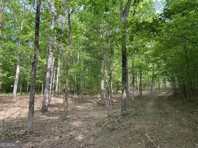 3640 Bullock Bridge RD Monroe, GA 30656