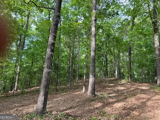 3640 Bullock Bridge RD Monroe, GA 30656