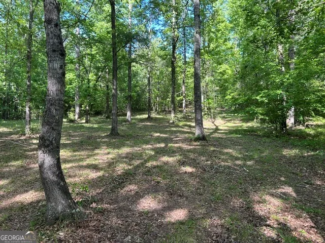3640 Bullock Bridge RD Monroe, GA 30656