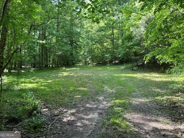 3640 Bullock Bridge RD Monroe, GA 30656