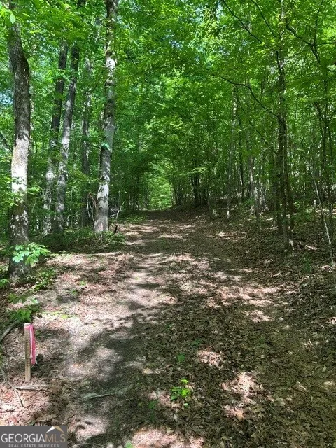 3640 Bullock Bridge RD Monroe, GA 30656