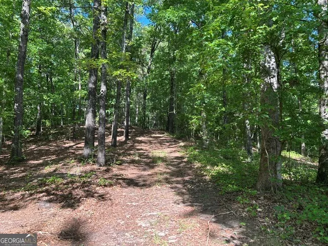 3640 Bullock Bridge RD Monroe, GA 30656