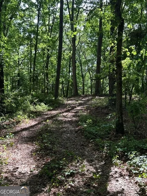 3640 Bullock Bridge RD Monroe, GA 30656