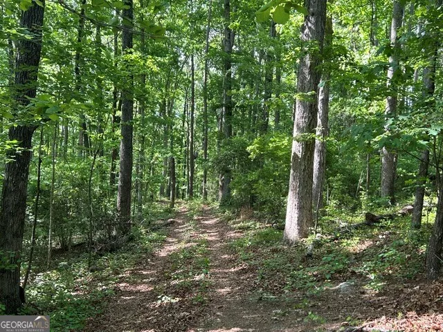 3640 Bullock Bridge RD Monroe, GA 30656